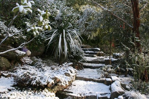 Snow on some steps outside