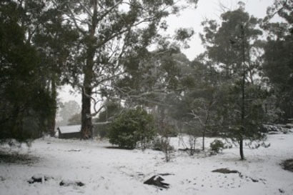 Snow covered view